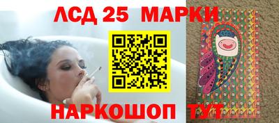сатива Краснознаменск