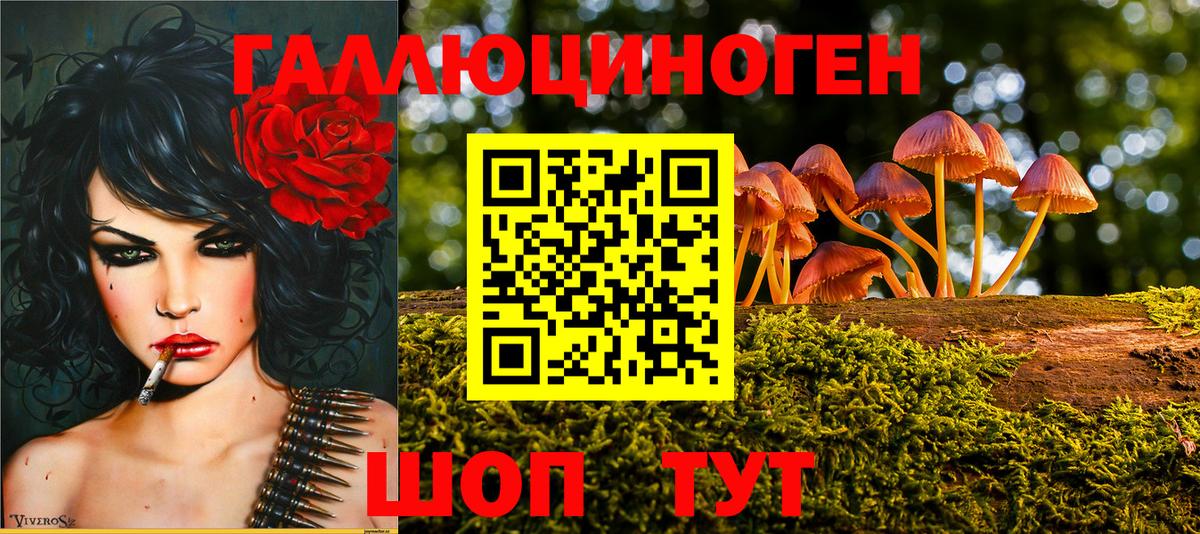Железногорск  Псилоцибиновые грибы ЛСД  Псилоцибиновые грибы Psilocybe  Вход с VPN 
